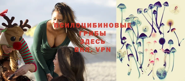 мяу мяу мука Арсеньев