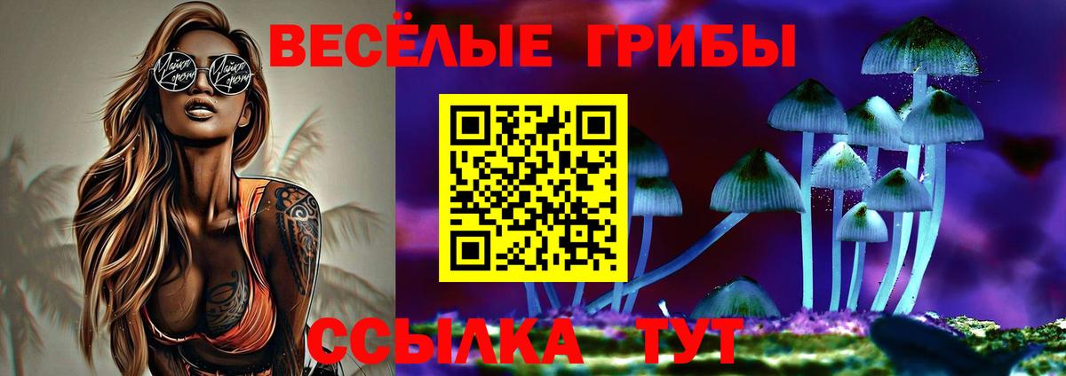 Псилоцибиновые грибы GOLDEN TEACHER Узловая